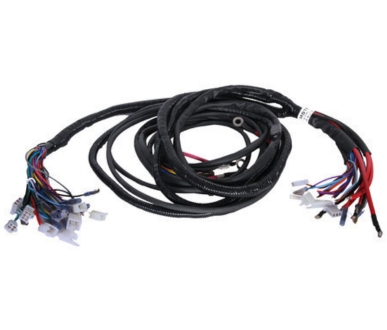 Auto Rickshaw Wiring Harness